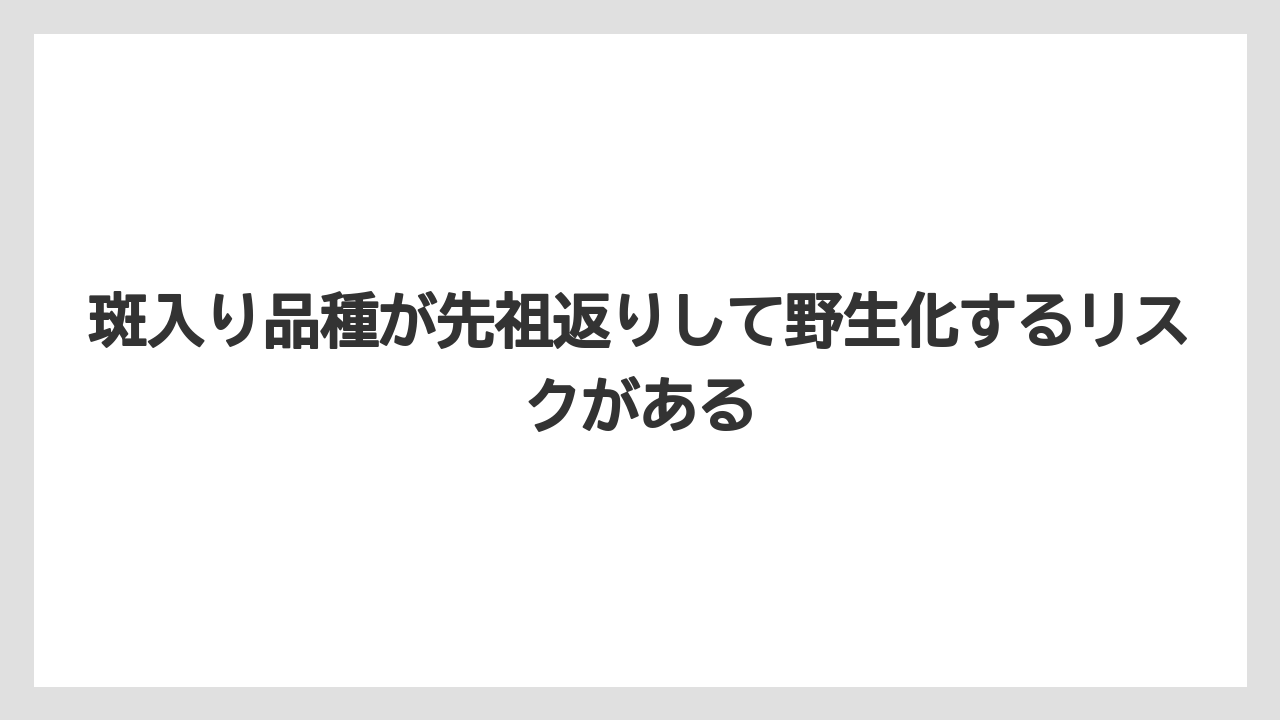 【栽培】【農園】【農業】斑入り品種が先祖返りして野生化するリスクがある