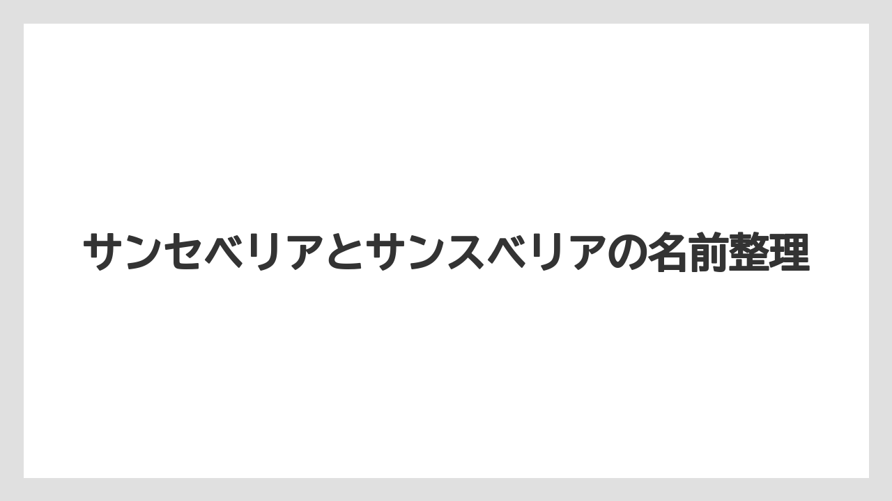 サンセベリアとサンスベリアの名前整理