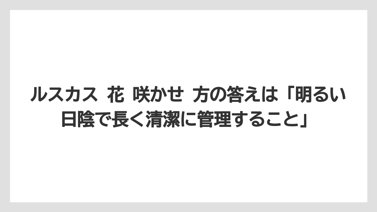 【ルスカス】【栽培】【花】【葉】ルスカス 花 咲かせ 方の答えは「明るい日陰で長く清潔に管理すること」