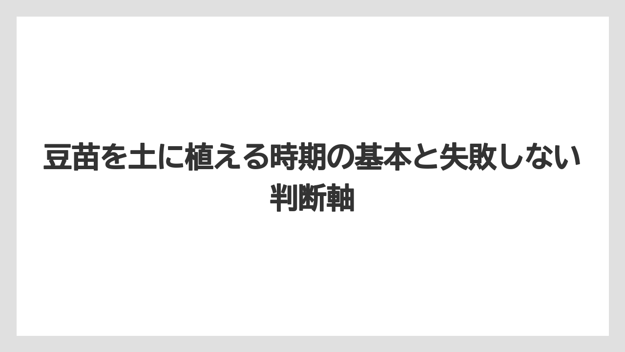 豆苗を土に植える時期の基本と失敗しない判断軸
