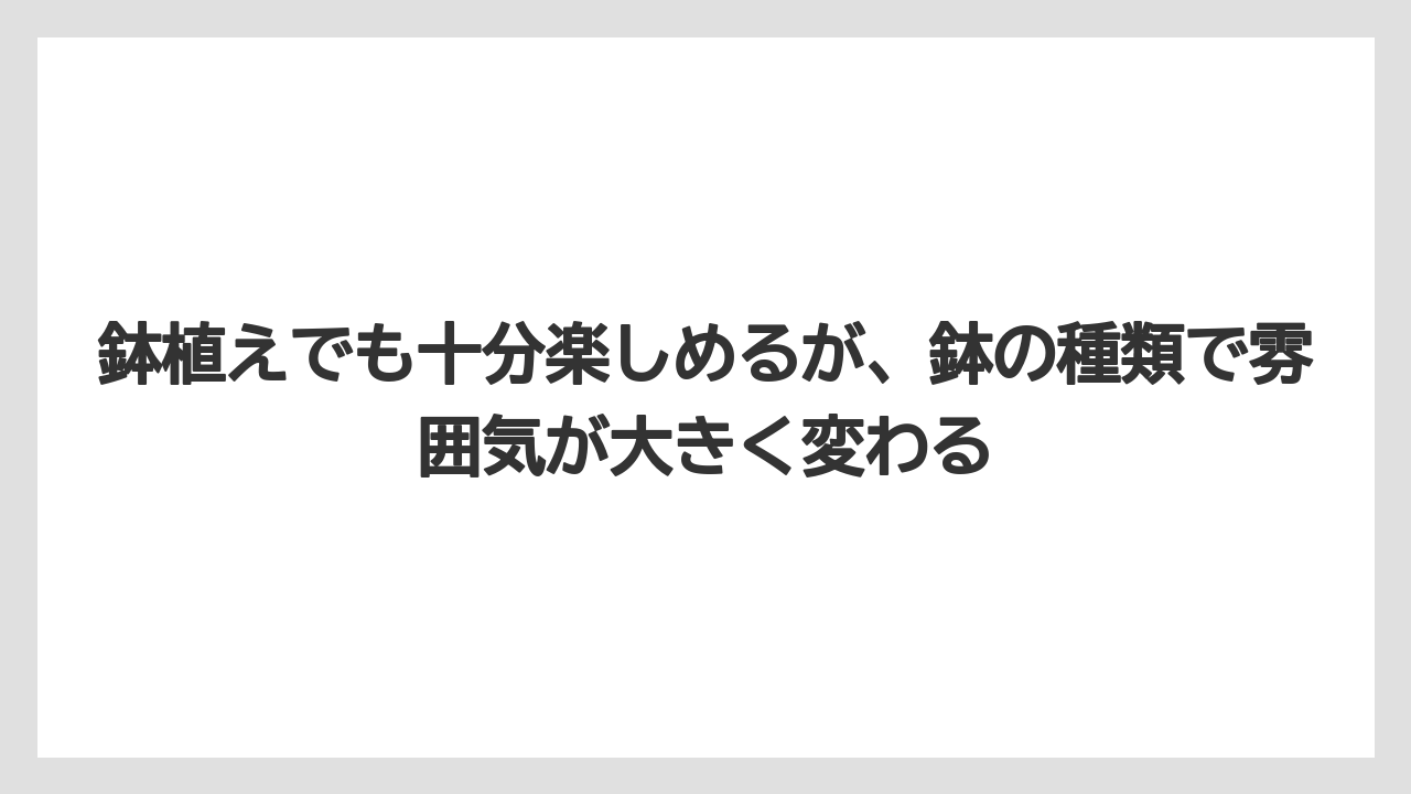 【デメリット】【庭】【栽培】【植え】【育て方】鉢植えでも十分楽しめるが、鉢の種類で雰囲気が大きく変わる