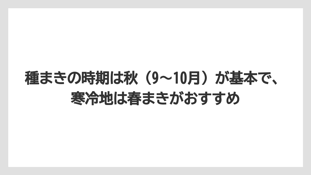 【栽培】【育て方】【草】種まきの時期は秋（9〜10月）が基本で、寒冷地は春まきがおすすめ
