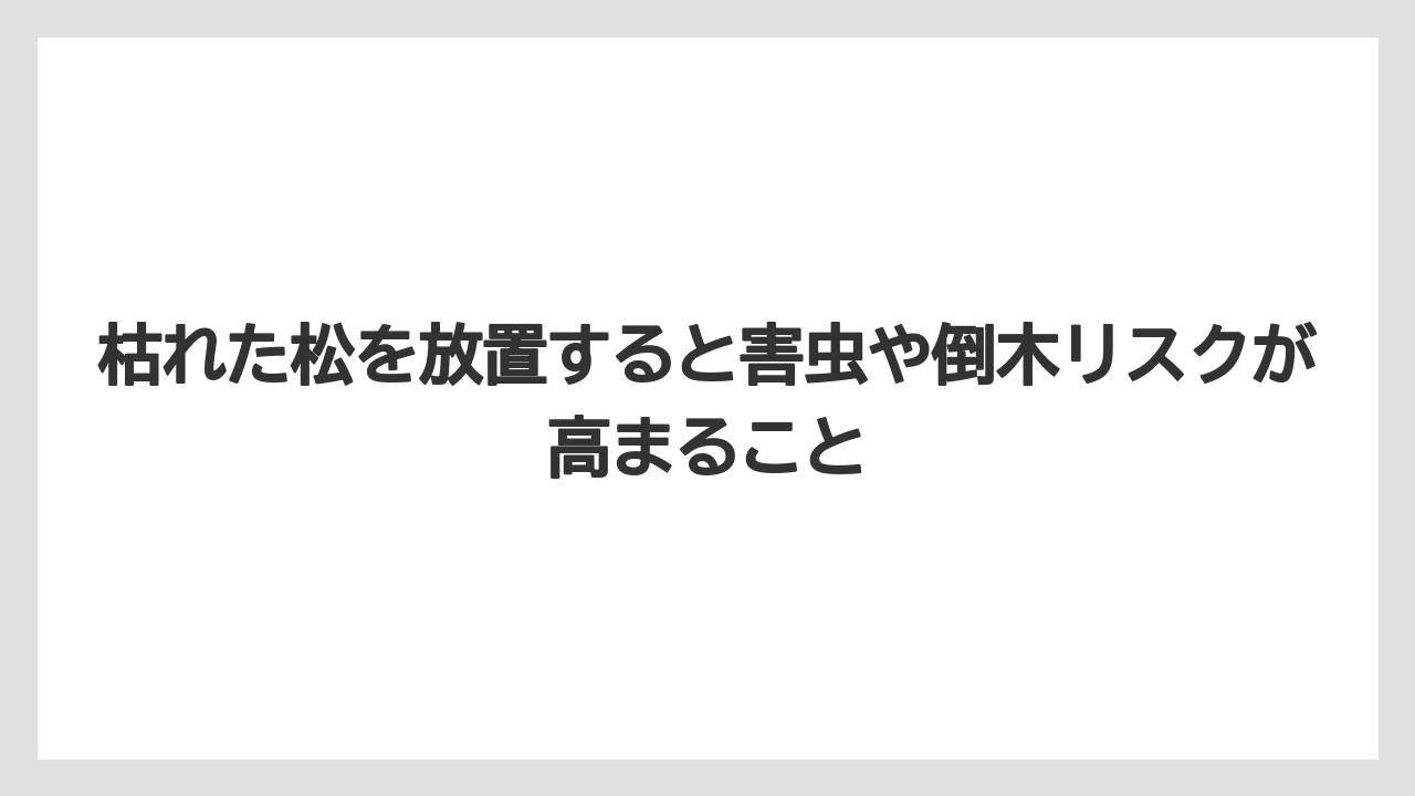 【枯れ】【栽培】【葉】枯れた松を放置すると害虫や倒木リスクが高まること