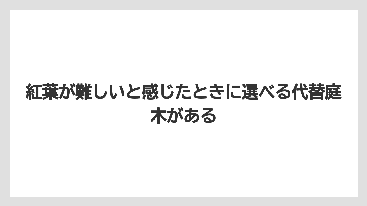 【いけない】【庭】【栽培】【植え】【葉】紅葉が難しいと感じたときに選べる代替庭木がある