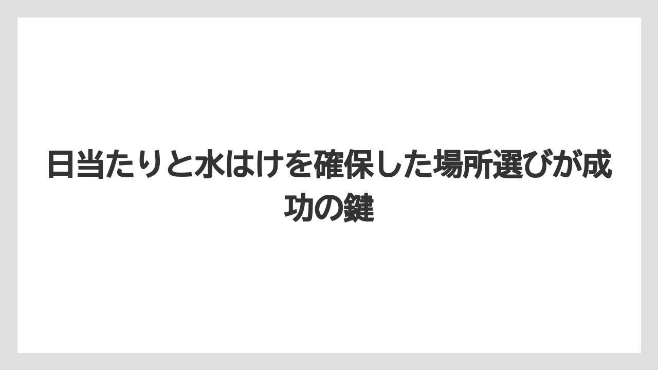 【ニンジン】【庭】【後悔】【栽培】日当たりと水はけを確保した場所選びが成功の鍵