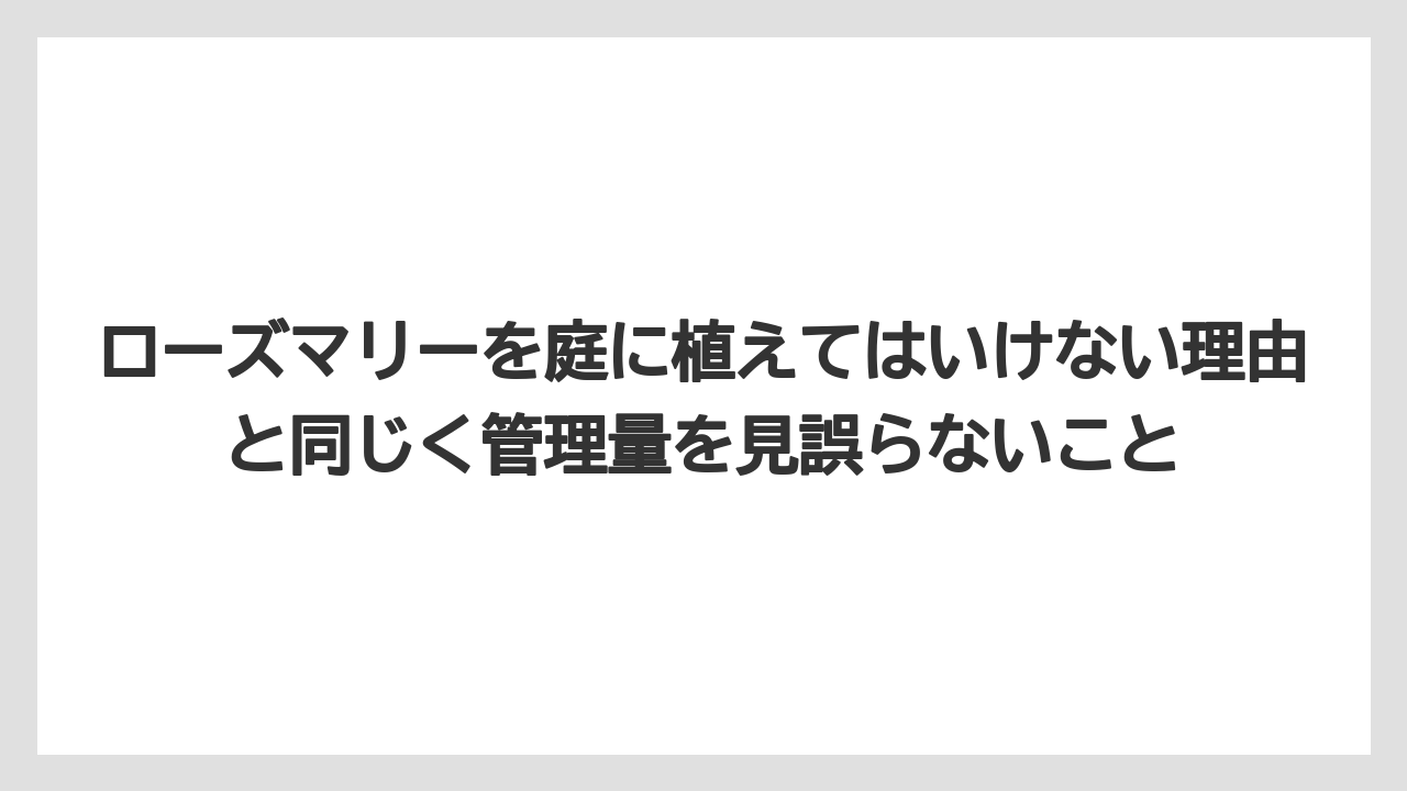 【いけない】【後悔】【栽培】【植え】ローズマリーを庭に植えてはいけない理由と同じく管理量を見誤らないこと