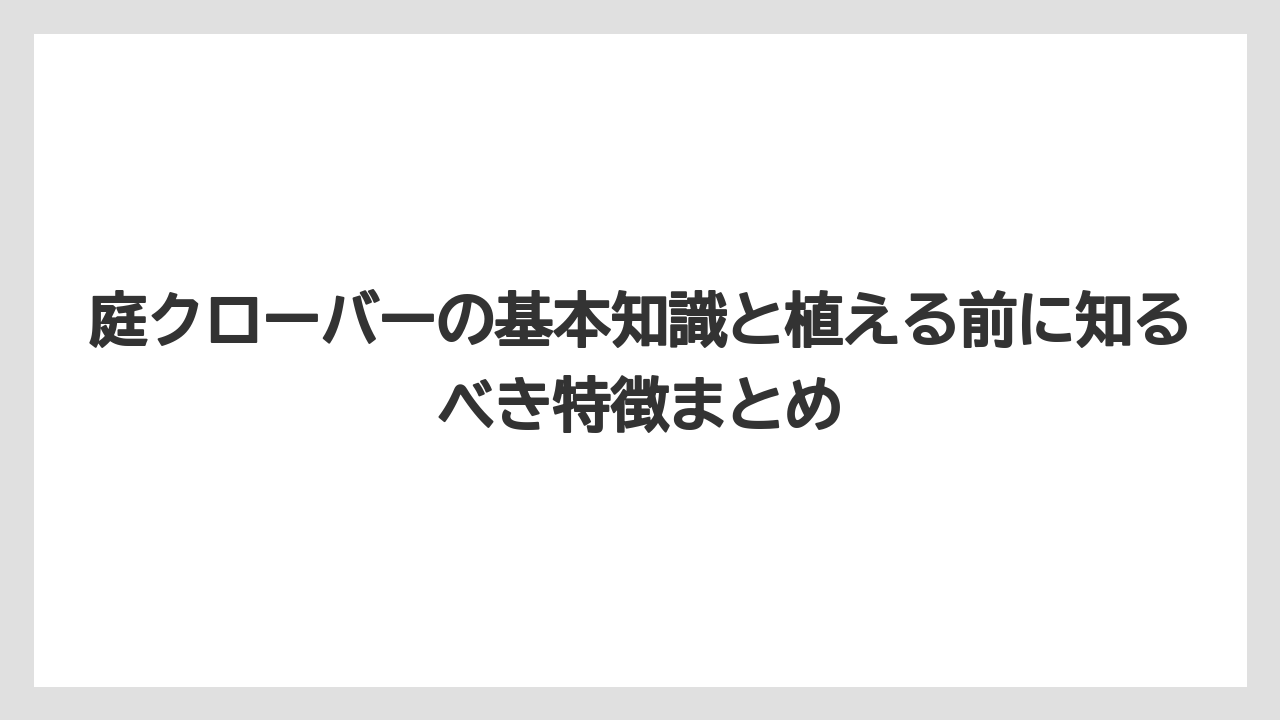 庭クローバーの基本知識と植える前に知るべき特徴まとめ
