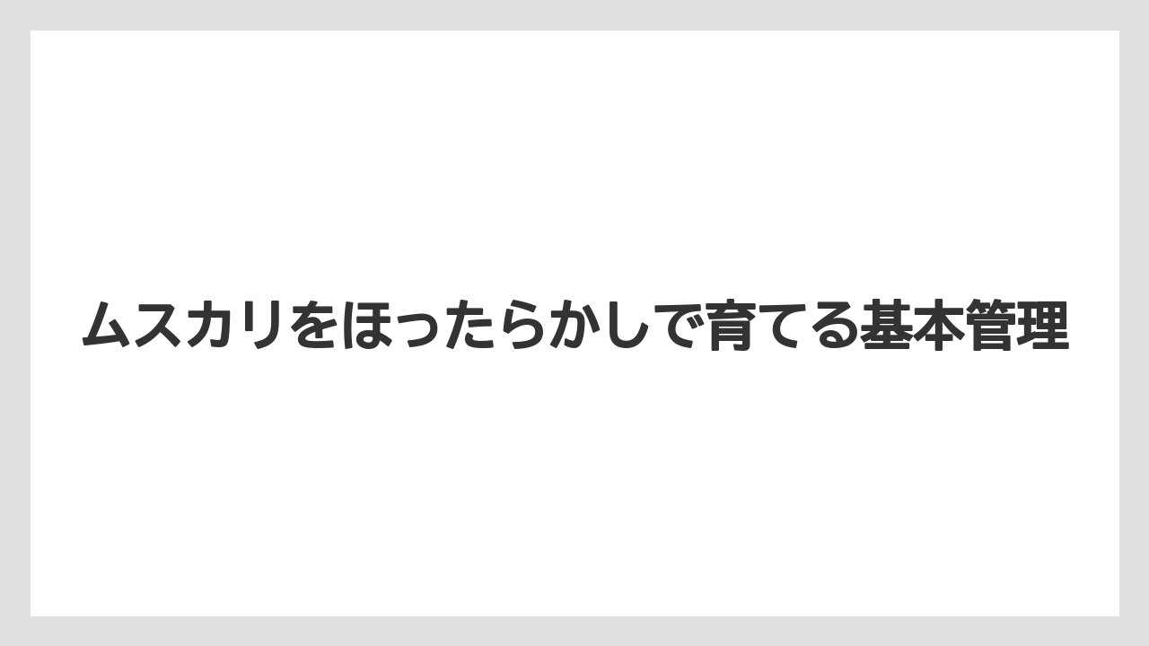 ムスカリをほったらかしで育てる基本管理
