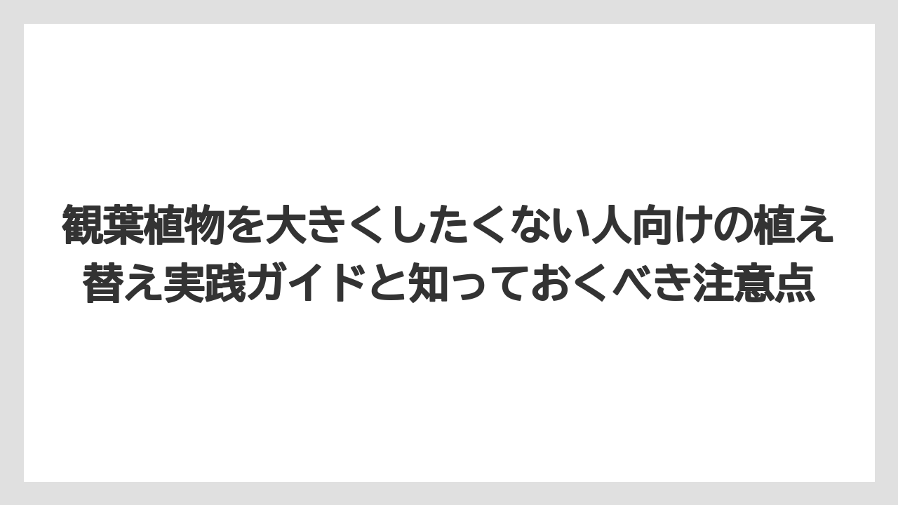 【栽培】【植物】【観葉】【鉢】根をカットした後は枝葉の剪定もセットで行うことが大切