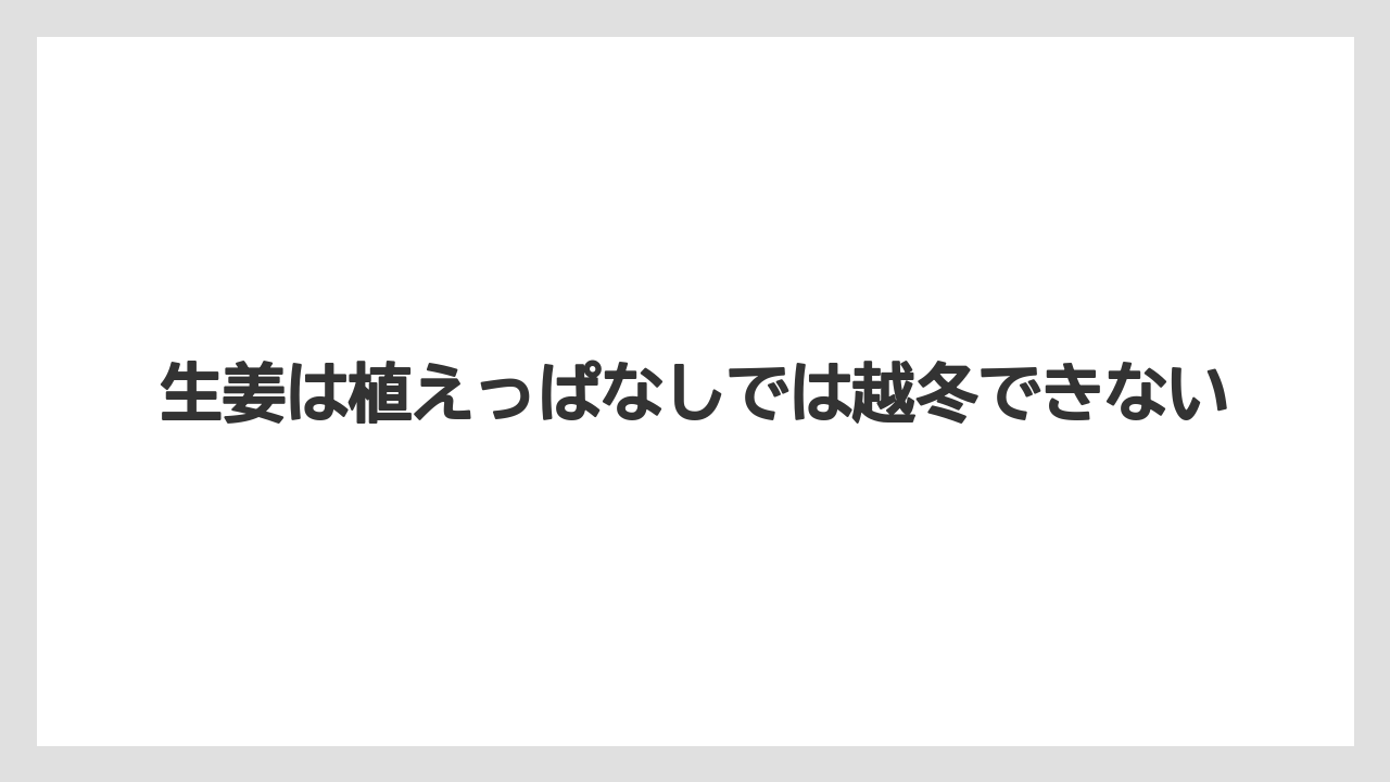 【栽培】【植え】【農業】生姜は植えっぱなしでは越冬できない