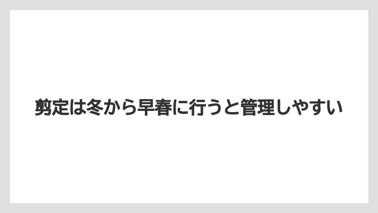 【いけない】【後悔】【栽培】【植え】剪定は冬から早春に行うと管理しやすい