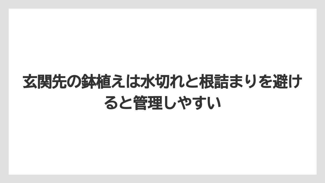 【栽培】【農園】【農業】玄関先の鉢植えは水切れと根詰まりを避けると管理しやすい