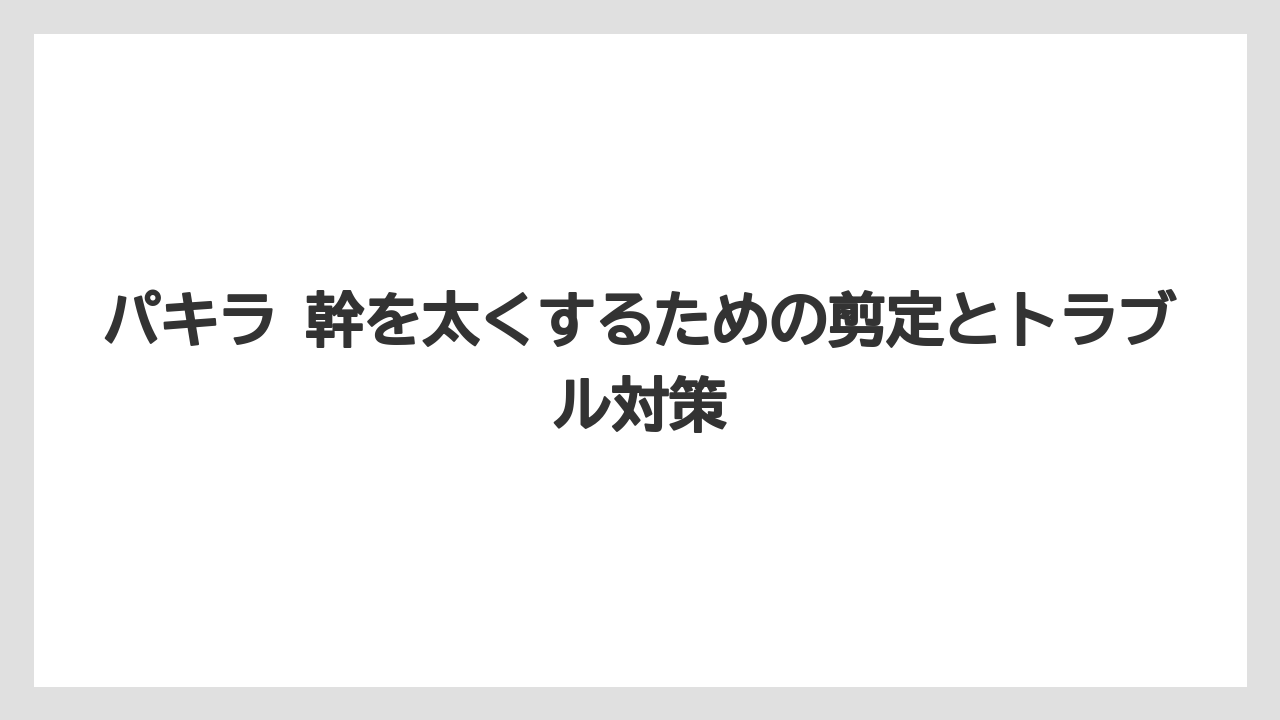 【パキラ】【栽培】【農業】植え替えは根を育てるために定期的に行うこと