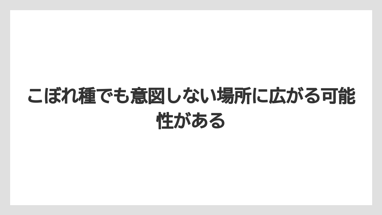 【バラ】【栽培】【農業】こぼれ種でも意図しない場所に広がる可能性がある