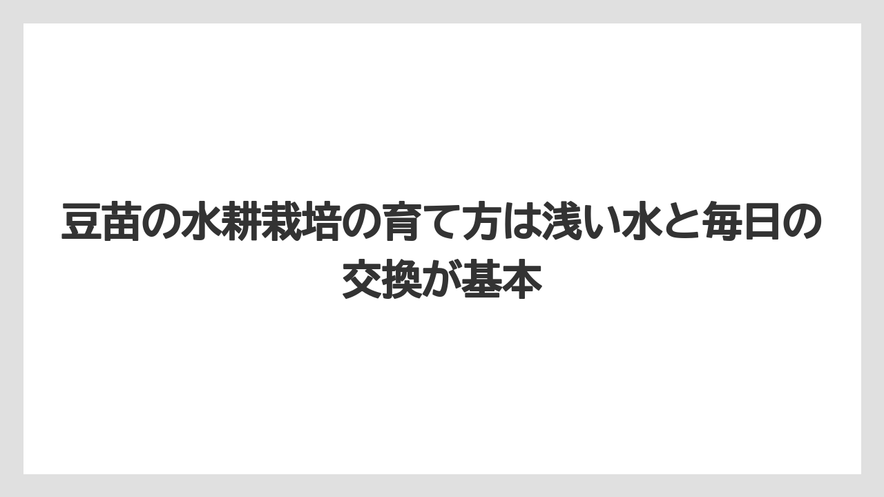 【土】【栽培】【植え】【育て方】【豆苗】豆苗の水耕栽培の育て方は浅い水と毎日の交換が基本