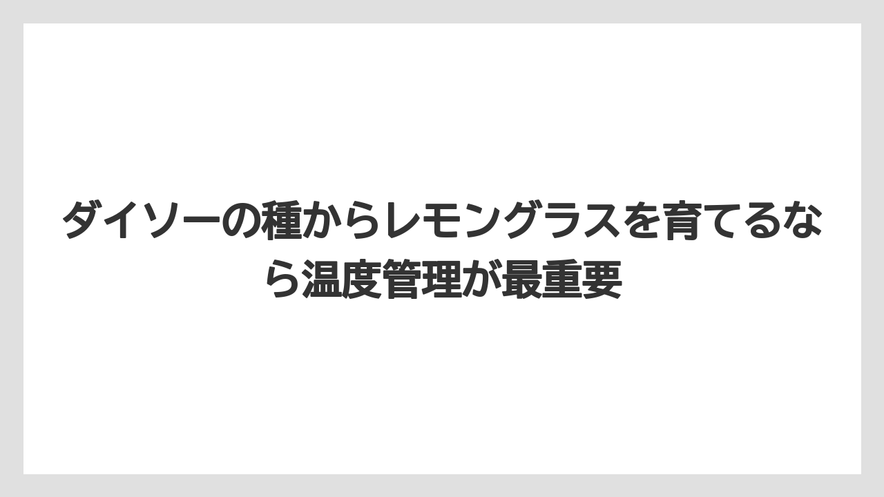 【レモン】【栽培】【農業】ダイソーの種からレモングラスを育てるなら温度管理が最重要