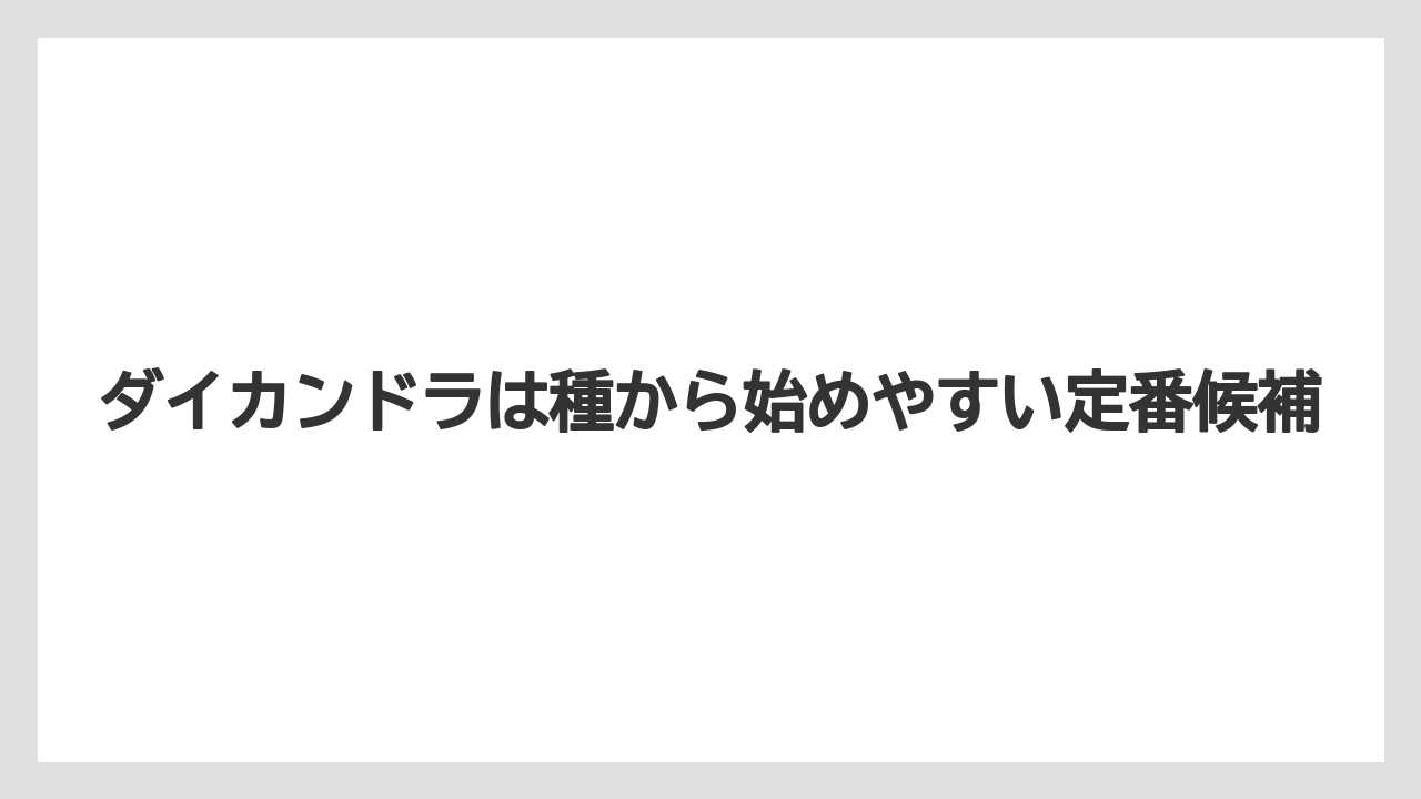 【栽培】【農園】【農業】ダイカンドラは種から始めやすい定番候補