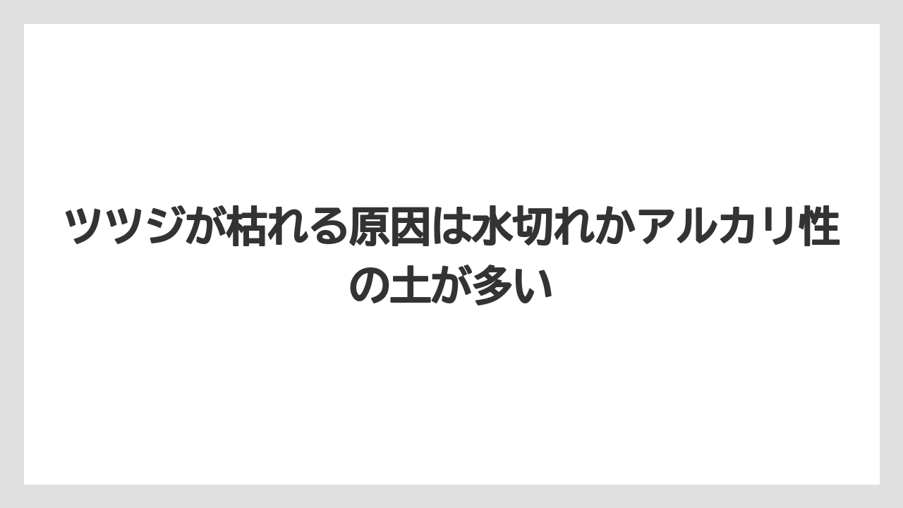 【栽培】【植え】【農業】ツツジが枯れる原因は水切れかアルカリ性の土が多い