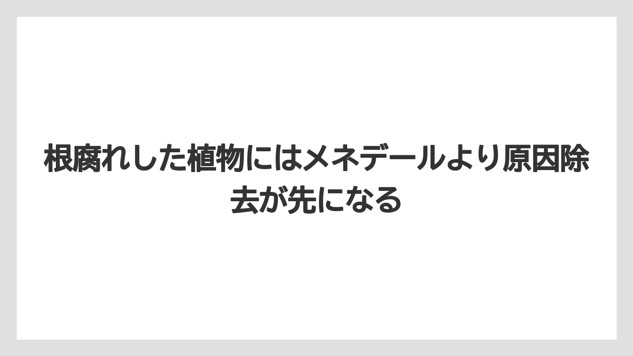 【メネデール】【栽培】【農業】根腐れした植物にはメネデールより原因除去が先になる