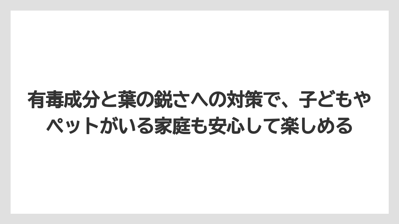 【デメリット】【庭】【栽培】【植え】【育て方】有毒成分と葉の鋭さへの対策で、子どもやペットがいる家庭も安心して楽しめる