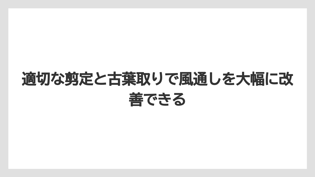 【栽培】【葉】【農業】適切な剪定と古葉取りで風通しを大幅に改善できる