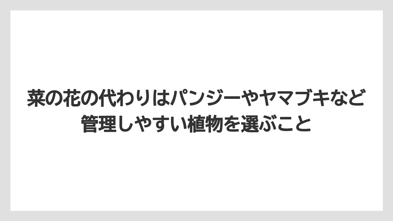 【栽培】【農園】【農業】菜の花の代わりはパンジーやヤマブキなど管理しやすい植物を選ぶこと