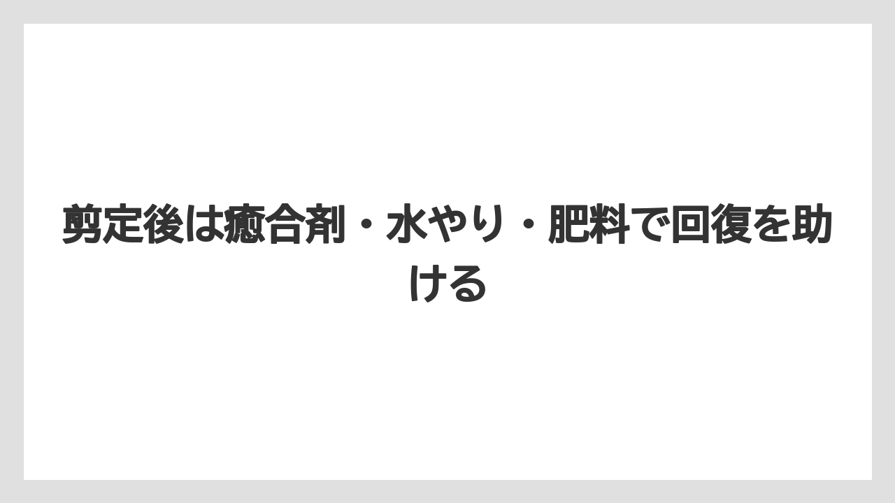 【剪定】【栽培】【農業】剪定後は癒合剤・水やり・肥料で回復を助ける
