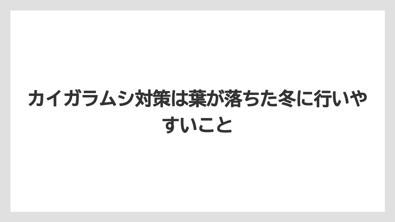 【スモークツリー】【剪定】【枯れ】【栽培】カイガラムシ対策は葉が落ちた冬に行いやすいこと