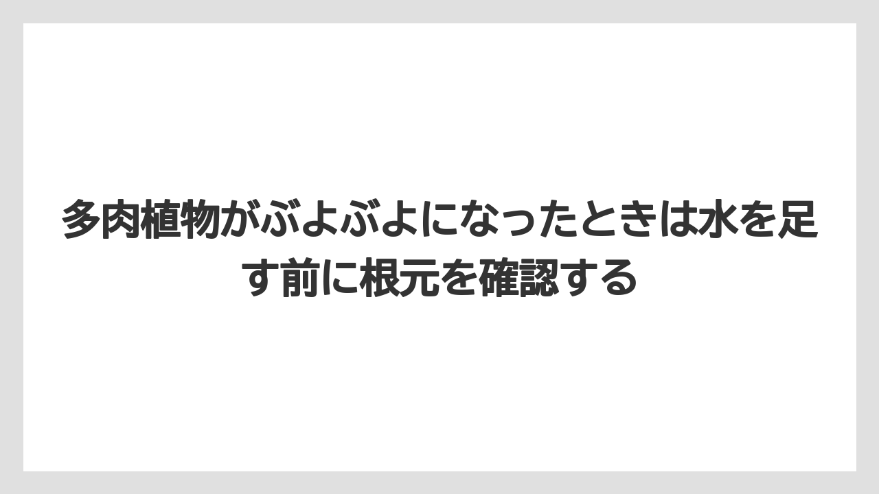 【木】【栽培】【農業】多肉植物がぶよぶよになったときは水を足す前に根元を確認する