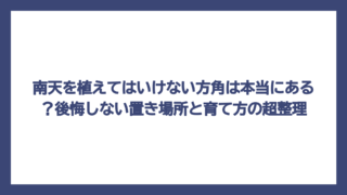 南天を植えてはいけない方角は本当にある？後悔しない置き場所と育て方の超整理