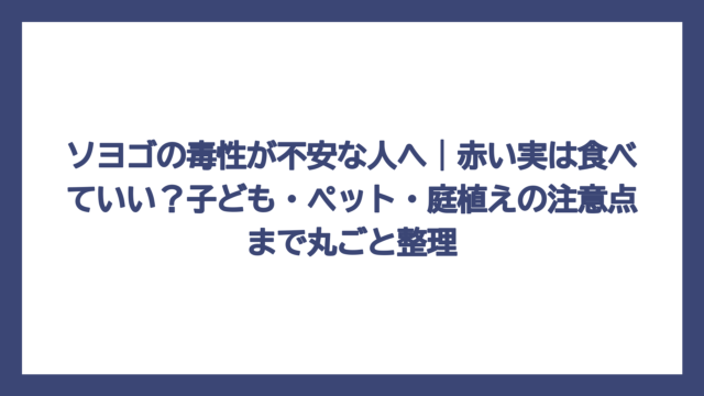 ソヨゴの毒性が不安な人へ｜赤い実は食べていい？子ども・ペット・庭植えの注意点まで丸ごと整理