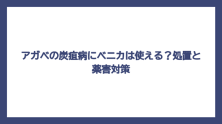 アガベの炭疽病にベニカは使える？処置と薬害対策