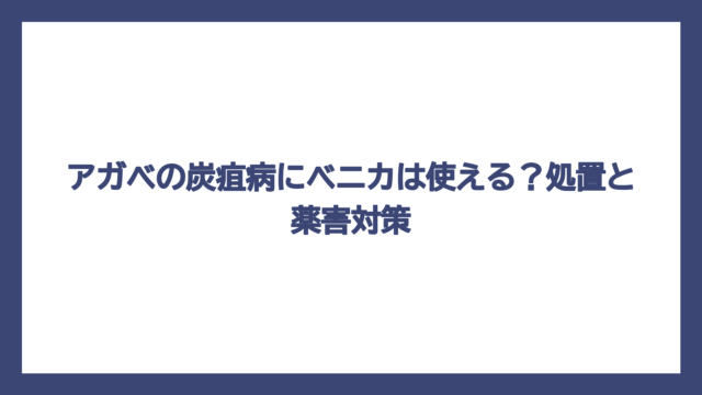 アガベの炭疽病にベニカは使える？処置と薬害対策