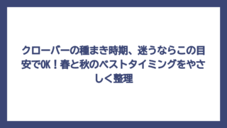 クローバーの種まき時期、迷うならこの目安でOK！春と秋のベストタイミングをやさしく整理