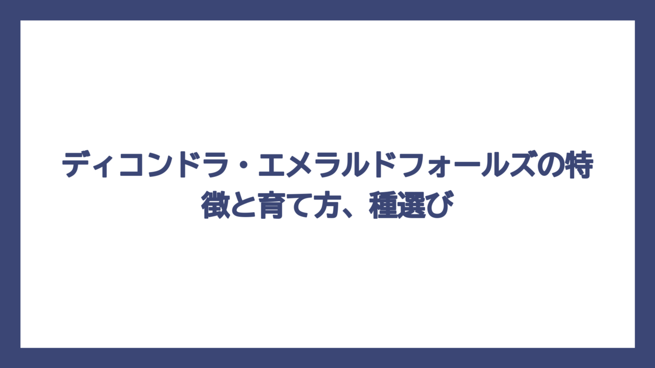 ディコンドラ・エメラルドフォールズの特徴と育て方、種選び