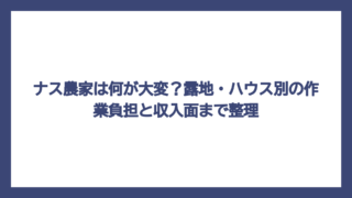 ナス農家は何が大変？露地・ハウス別の作業負担と収入面まで整理