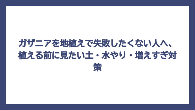 ガザニアを地植えで失敗したくない人へ、植える前に見たい土・水やり・増えすぎ対策