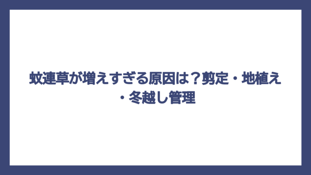 蚊連草が増えすぎる原因は？剪定・地植え・冬越し管理