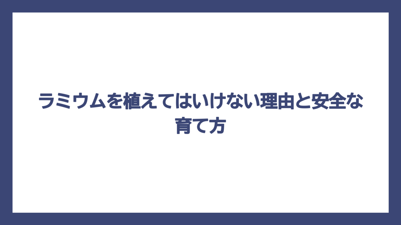 ラミウムを植えてはいけない理由と安全な育て方