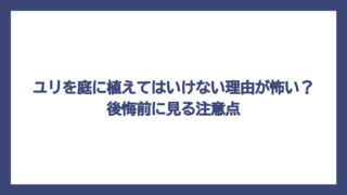 ユリを庭に植えてはいけない理由が怖い？後悔前に見る注意点