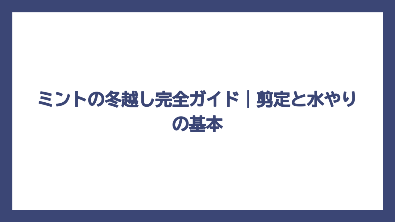 ミントの冬越し完全ガイド｜剪定と水やりの基本