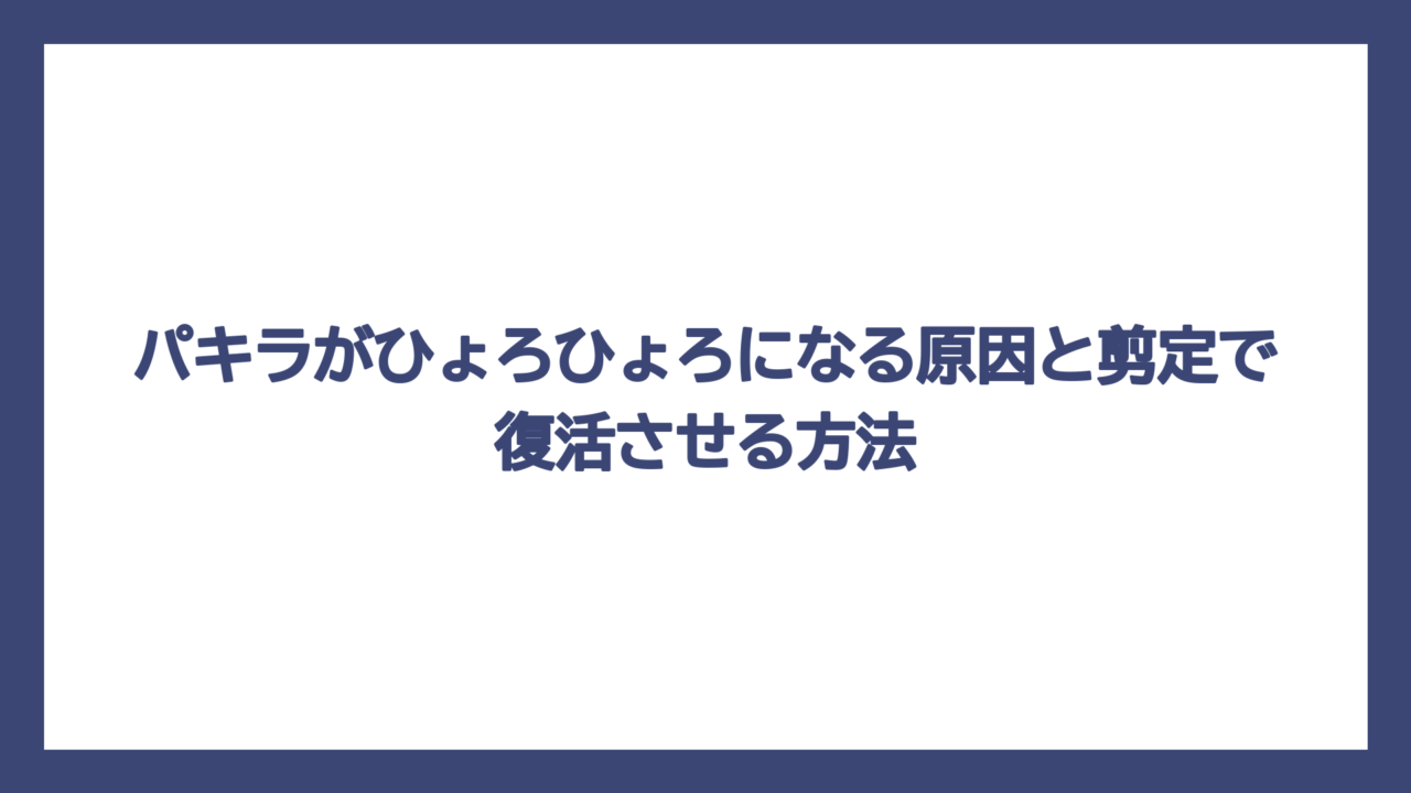パキラがひょろひょろになる原因と剪定で復活させる方法