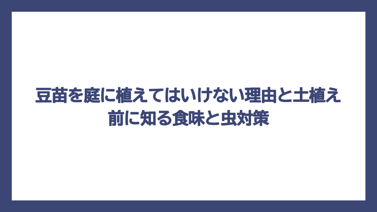 豆苗を庭に植えてはいけない理由と土植え前に知る食味と虫対策