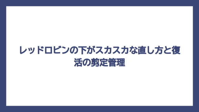 レッドロビンの下がスカスカな直し方と復活の剪定管理