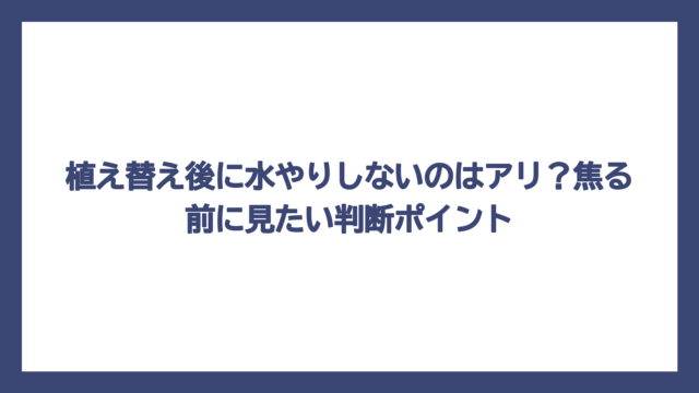 植え替え後に水やりしないのはアリ？焦る前に見たい判断ポイント