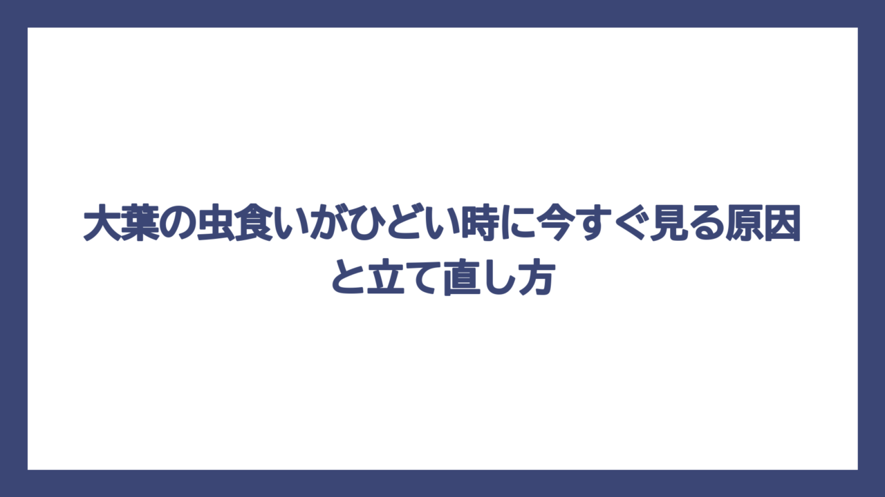 大葉の虫食いがひどい時に今すぐ見る原因と立て直し方