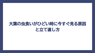 大葉の虫食いがひどい時に今すぐ見る原因と立て直し方