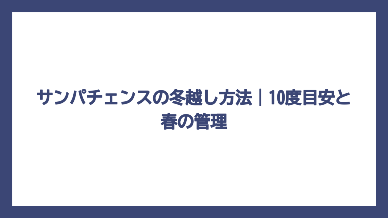 サンパチェンスの冬越し方法｜10度目安と春の管理