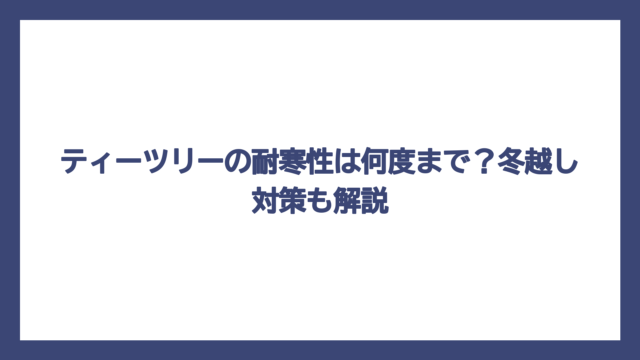 ティーツリーの耐寒性は何度まで？冬越し対策も解説