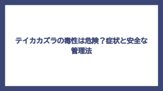 テイカカズラの毒性は危険？症状と安全な管理法
